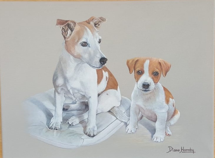 Two Jack Russell Terriers portrait