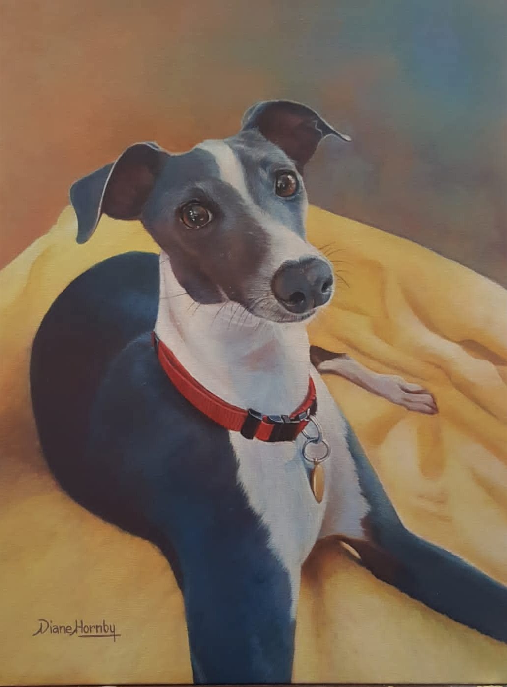 Italian Greyhound on yellow blanket