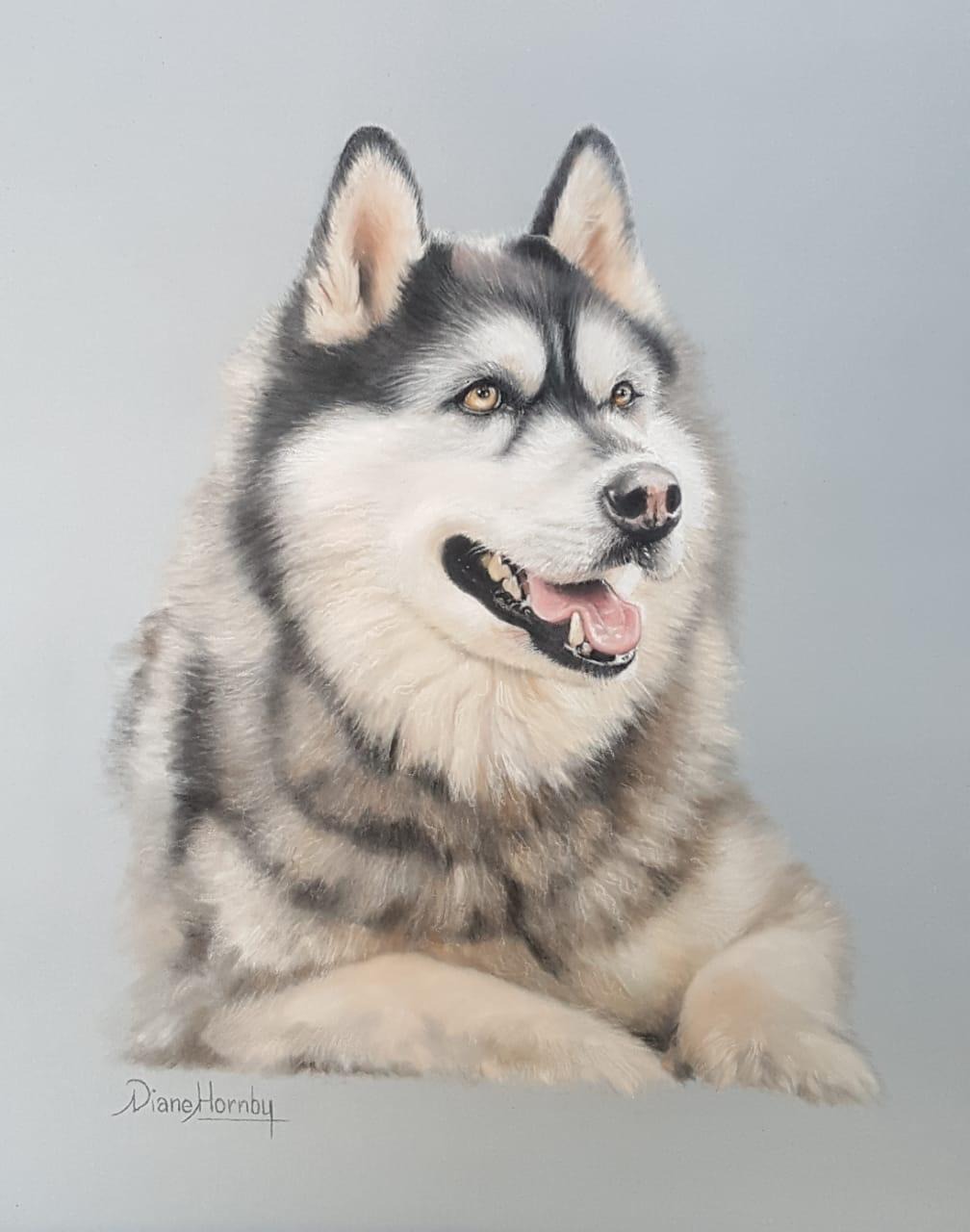 Siberian Husky portrait