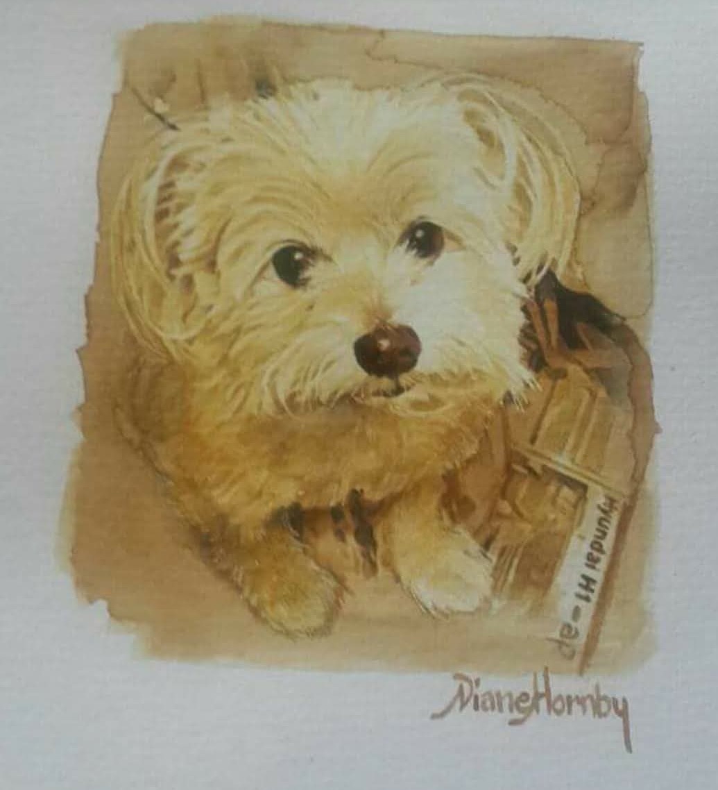Maltese terrier watercolour portrait