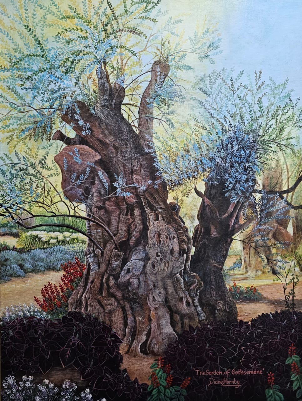 Ancient olive tree in the Garden of Gethsemane