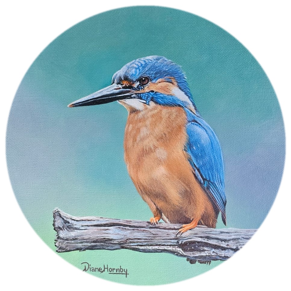 Kingfisher on a branch, round canvas