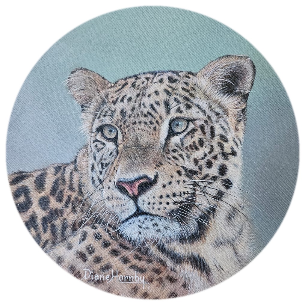 Leopard portrait on round canvas