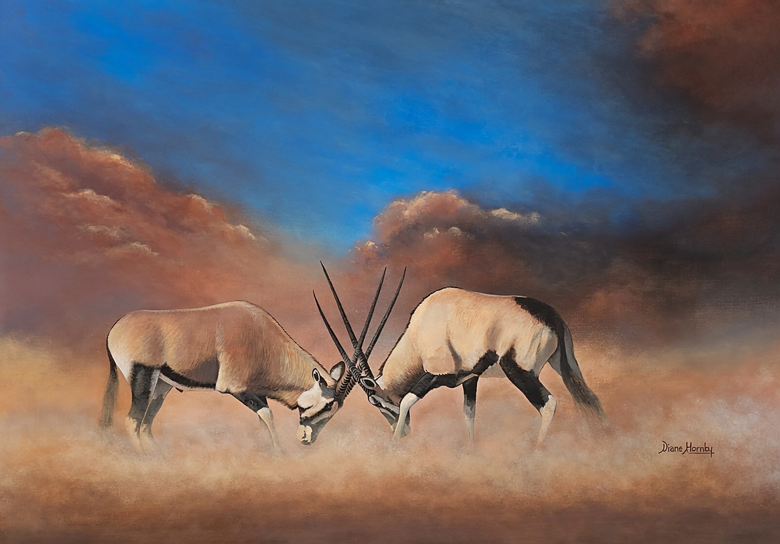 Two kudu bulls sparring at dusk