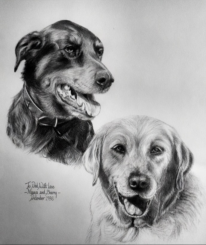 Pencil drawing of two dogs, 1986