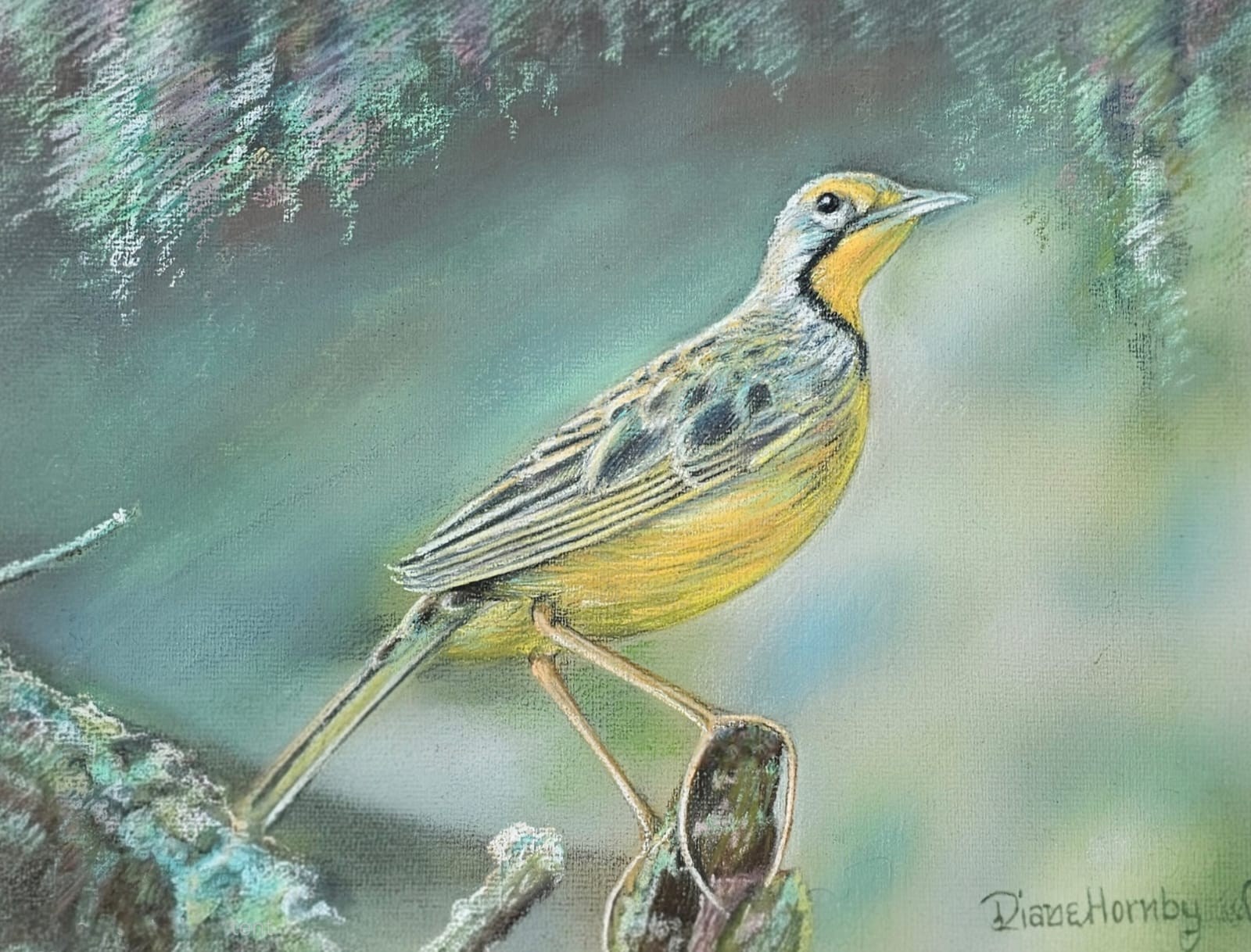 Painting of a yellow-throated longclaw perched on a branch